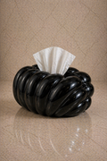 Glossy Tissue Box