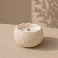 Coconut Candle