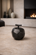 Modern Black Apple Decor